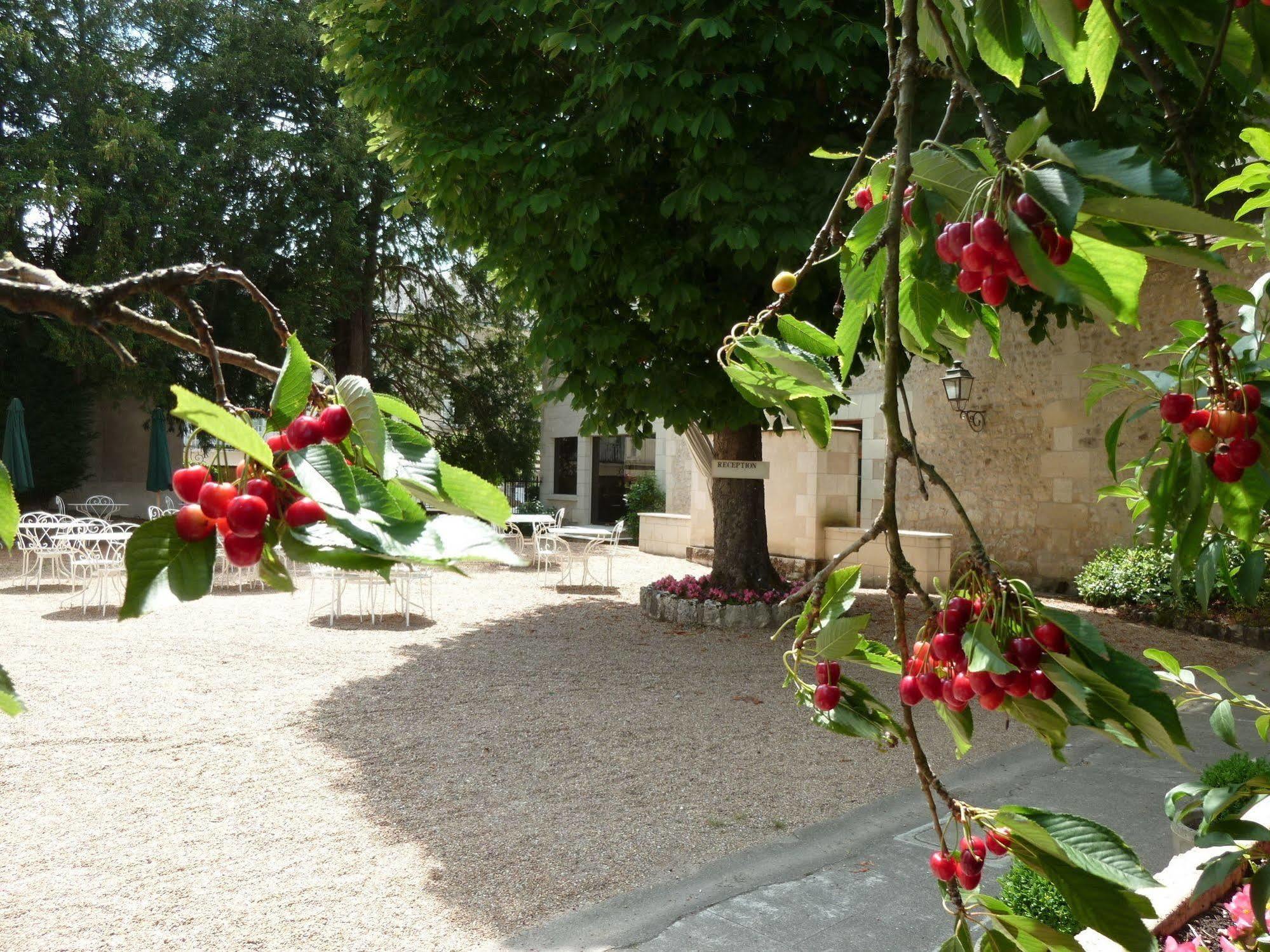 Hotel Grand Monarque Azay-le-Rideau Bagian luar foto