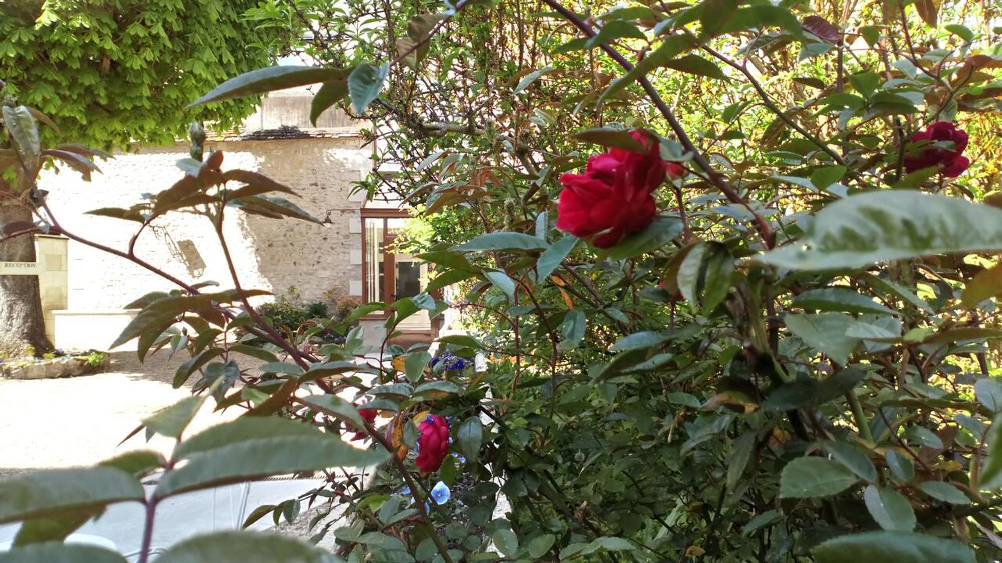 Hotel Grand Monarque Azay-le-Rideau Bagian luar foto